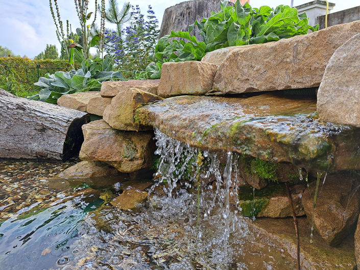 Teich am Hindu-Tempel