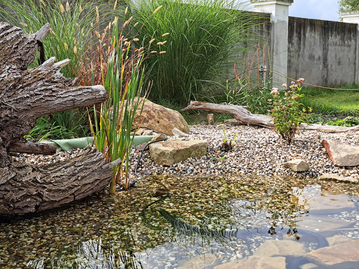 Teich am Hindu-Tempel