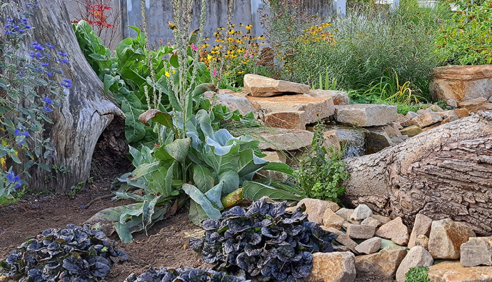 Teich am Hindu-Tempel